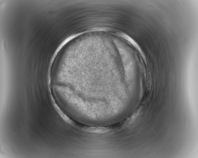 X0000085770811200704091351