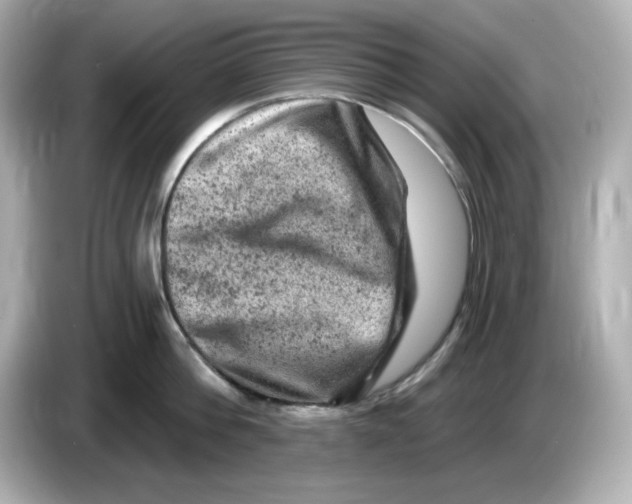 X0000085770812200704091351