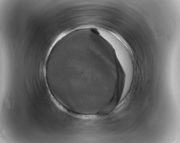 X0000085770813200704091351