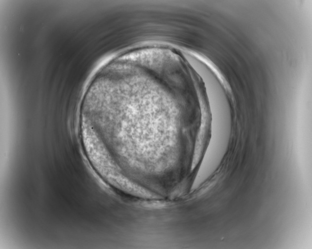 X0000085770815200704091351