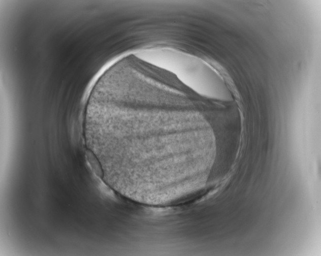 X0000085770816200704091351