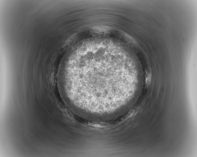 X0000085770819200704091351