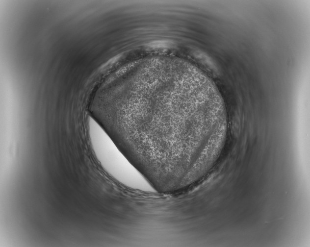 X0000085770821200704091351