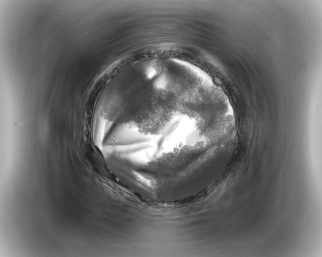 X0000085770823200704091351