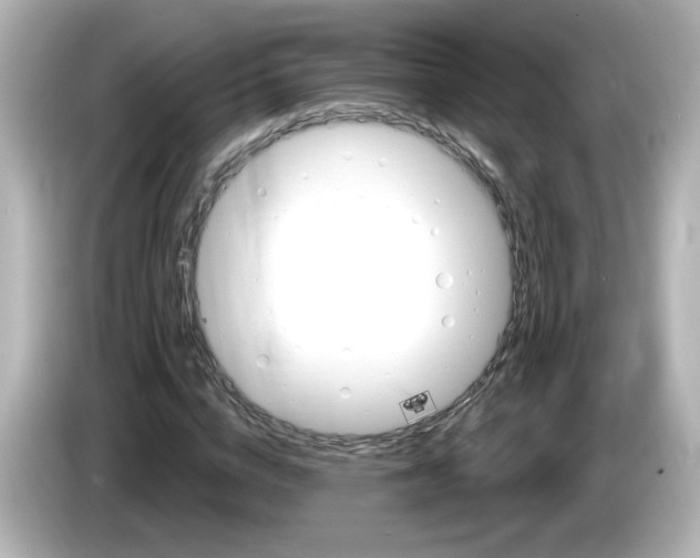 X0000085770824200704091351