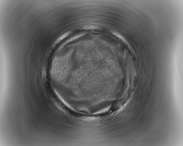 X0000085770826200704091351