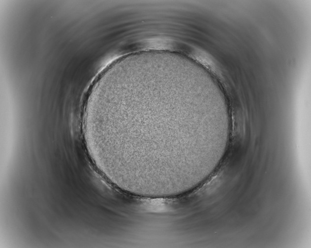 X0000085770828200704091351