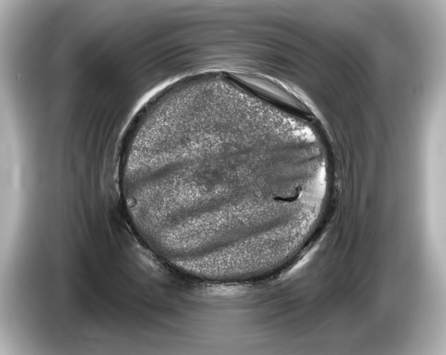 X0000085770830200704091351