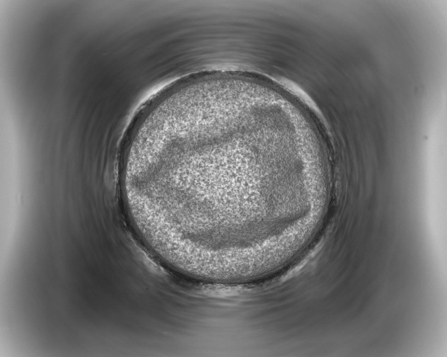 X0000085770831200704091351