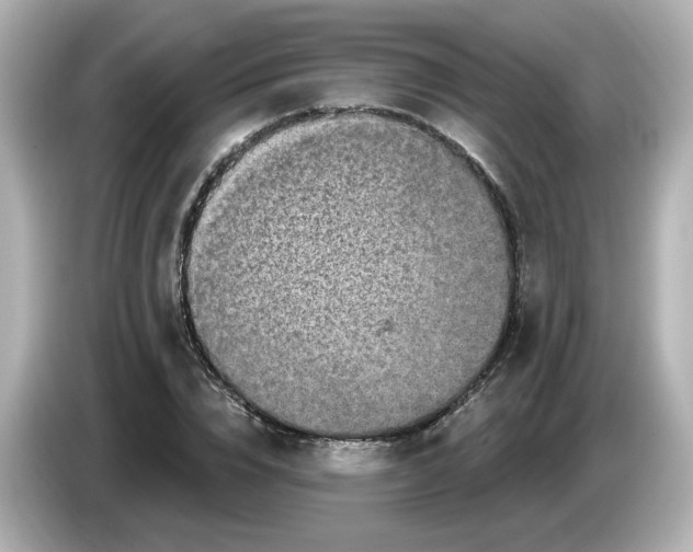 X0000085770832200704091351