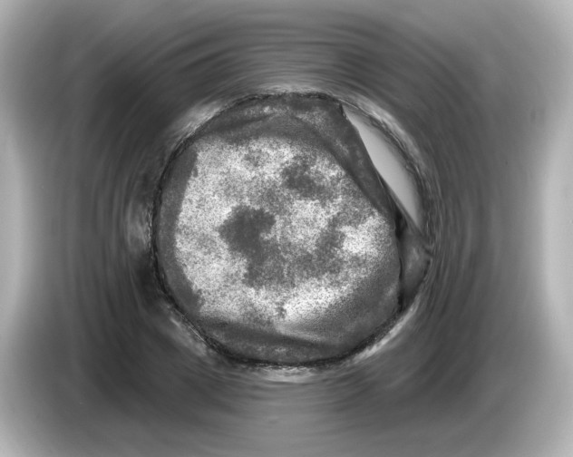 X0000085770833200704091351