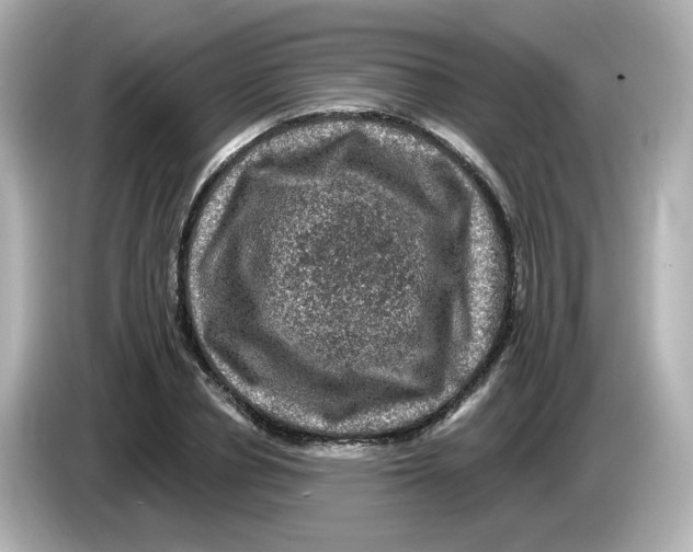 X0000085770834200704091351