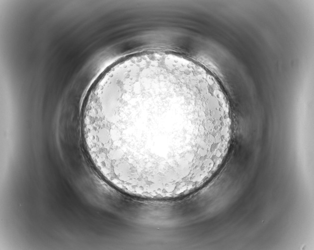 X0000085770836200704091351