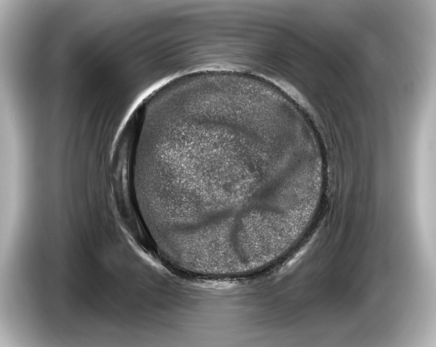 X0000085770838200704091351