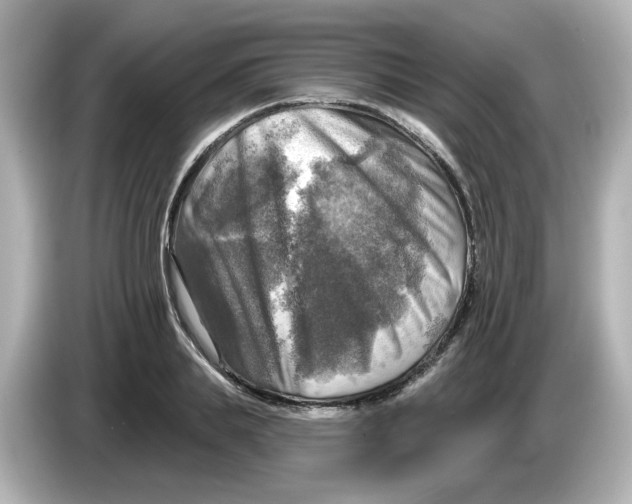 X0000085770839200704091351