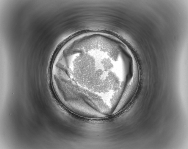 X0000085770840200704091351