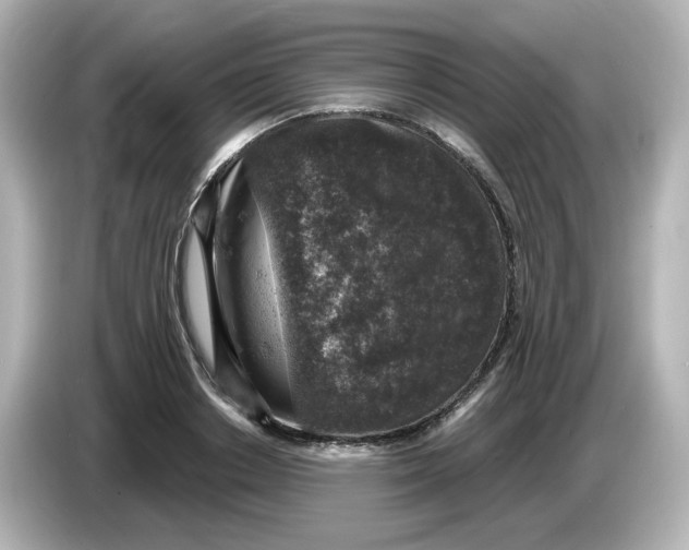 X0000085770842200704091351