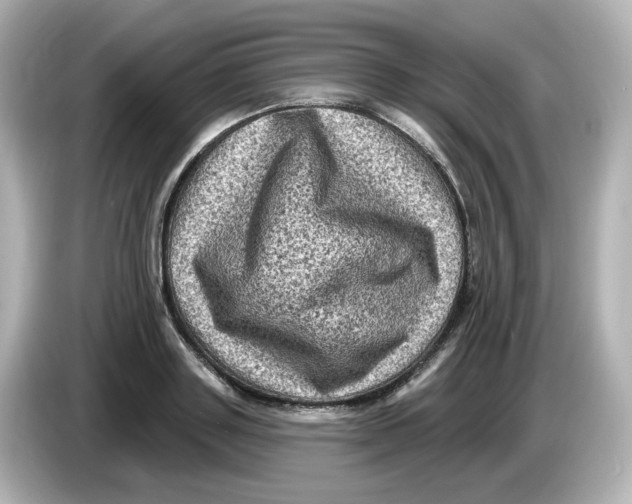 X0000085770843200704091351