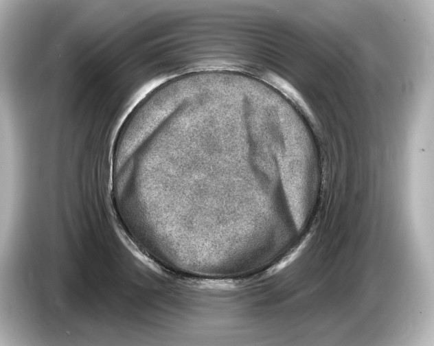 X0000085770844200704091351