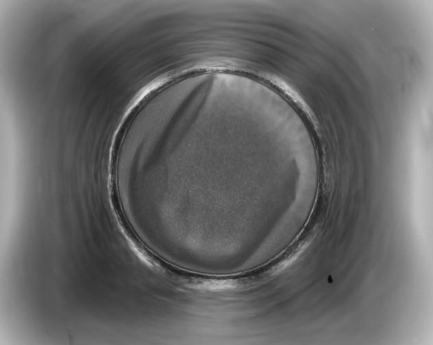 X0000085770845200704091351