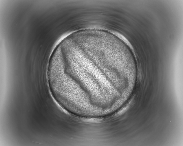 X0000085770847200704091351