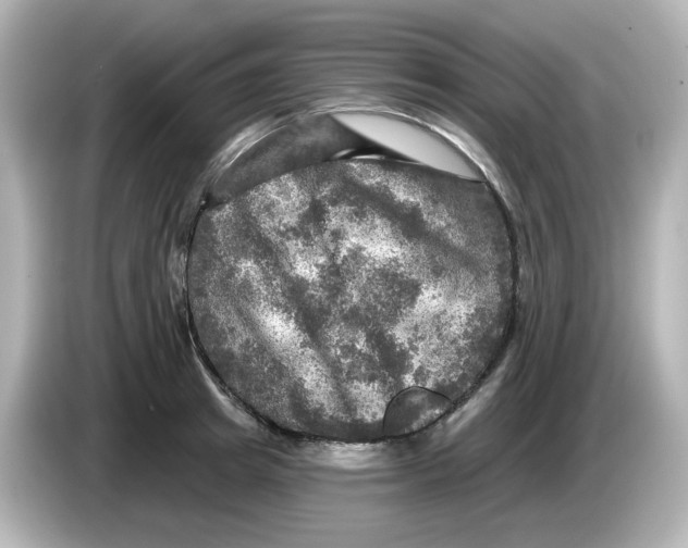 X0000085770849200704091351