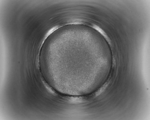 X0000085770850200704091351