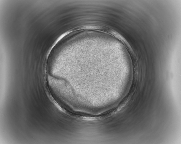 X0000085770852200704091351