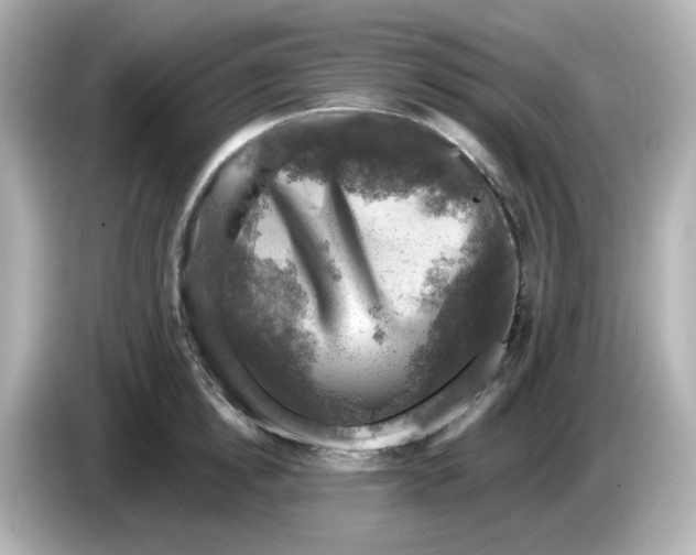 X0000085770854200704091351