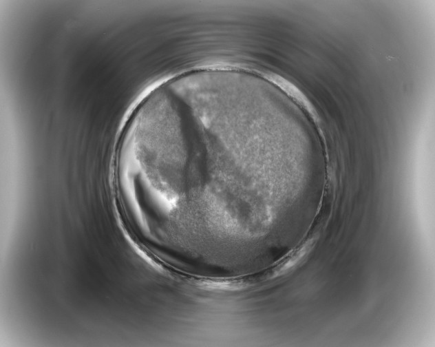 X0000085770855200704091351