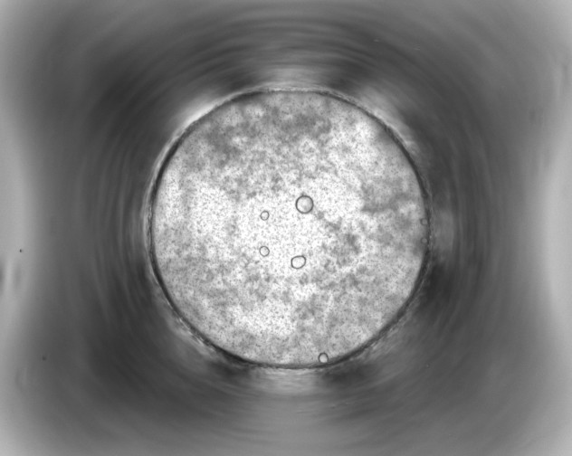 X0000085770856200704091351