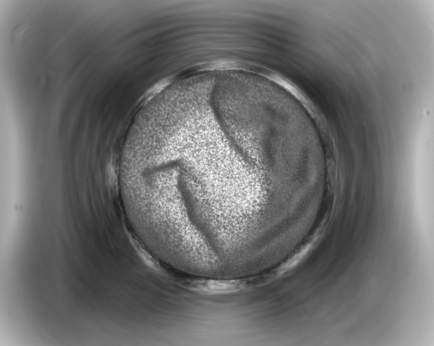 X0000085770857200704091351