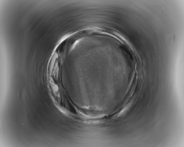 X0000085770858200704091351