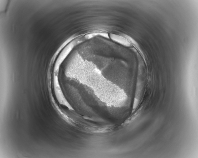 X0000085770859200704091351