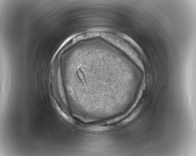 X0000085770860200704091351