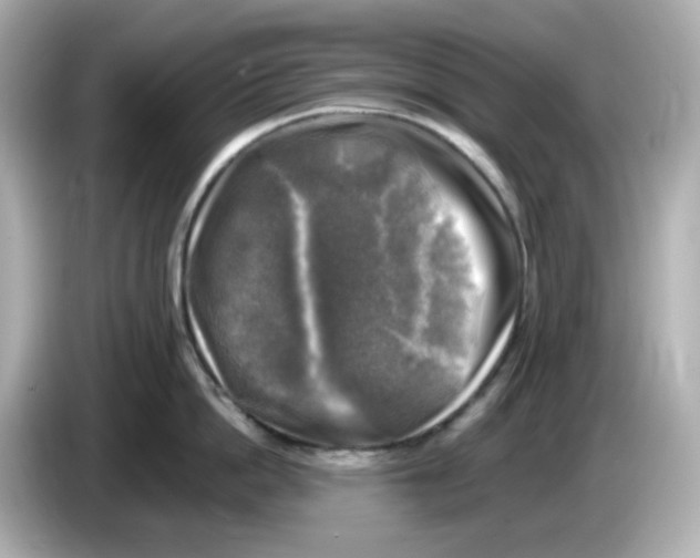 X0000085770862200704091351