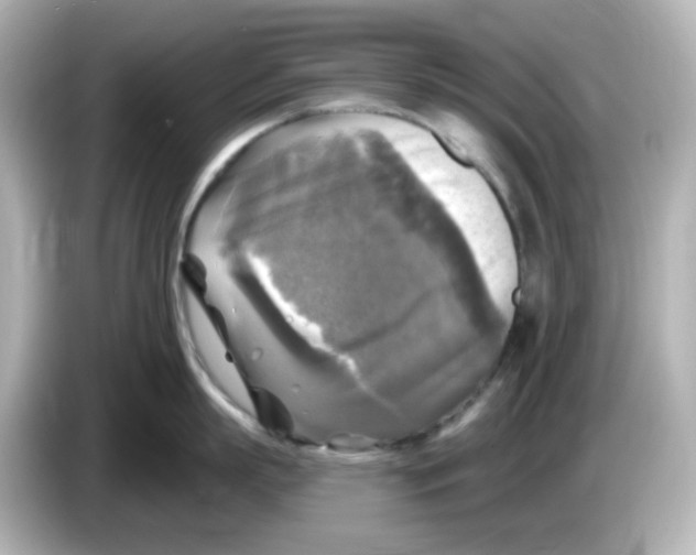 X0000085770863200704091351