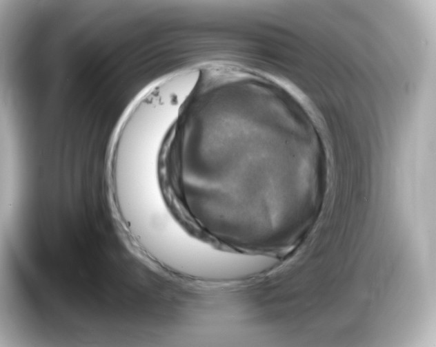 X0000085770864200704091351