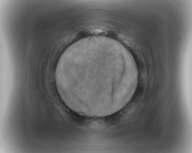 X0000085770865200704091351