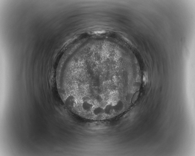 X0000085770867200704091351