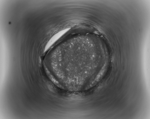 X0000085770868200704091351