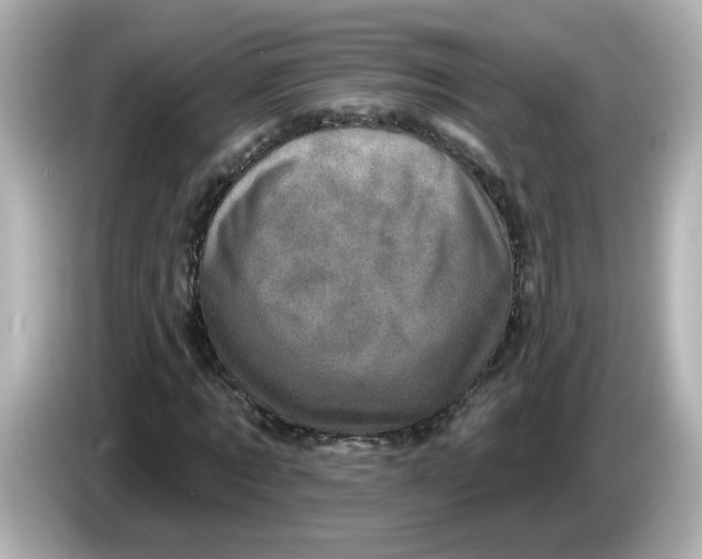 X0000085770869200704091351