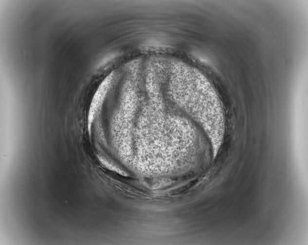 X0000085770870200704091351