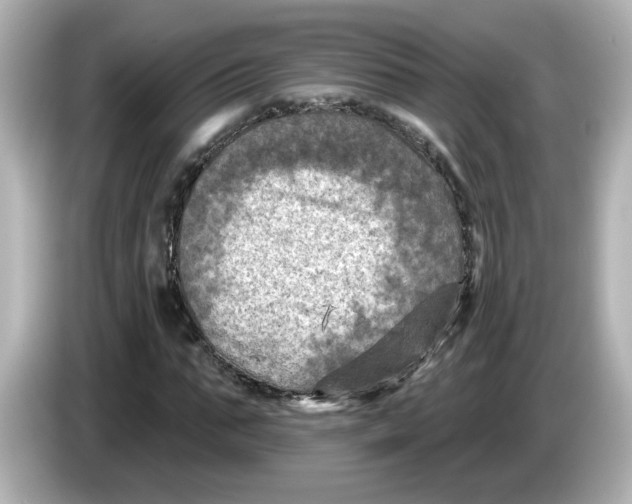 X0000085770871200704091351