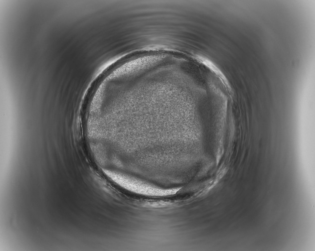 X0000085770876200704091351