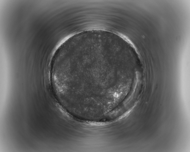 X0000085770877200704091351