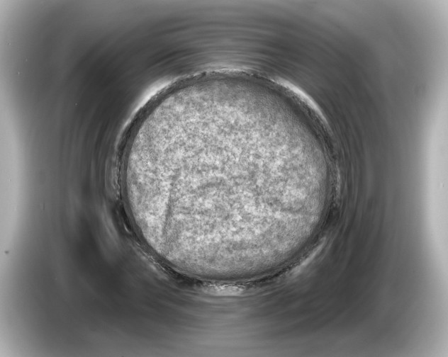 X0000085770878200704091351