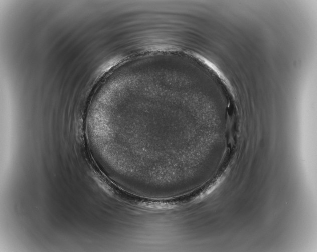 X0000085770881200704091351