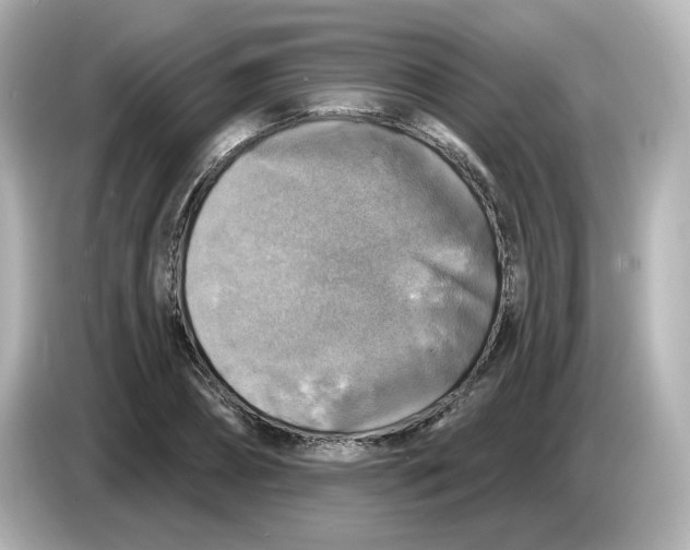 X0000085770882200704091351