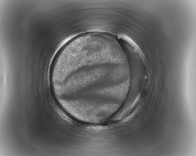 X0000085770884200704091351